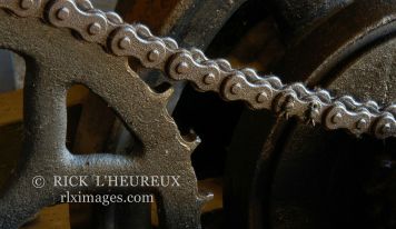 Gear & Chain